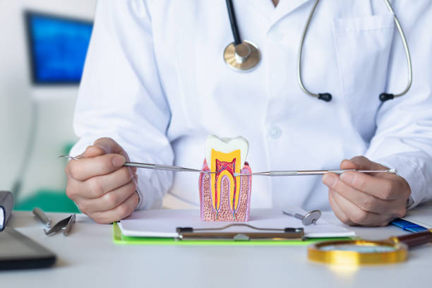 Best Urgent Care for Lost Fillings or Crowns in Marshallville, GA